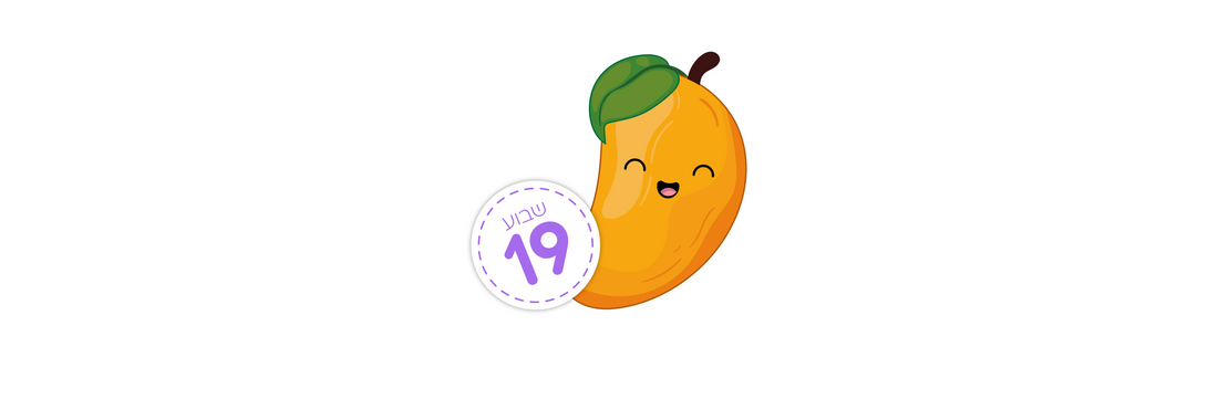שבוע 19 – מה התינוק שלי מפתח בשבוע הזה?