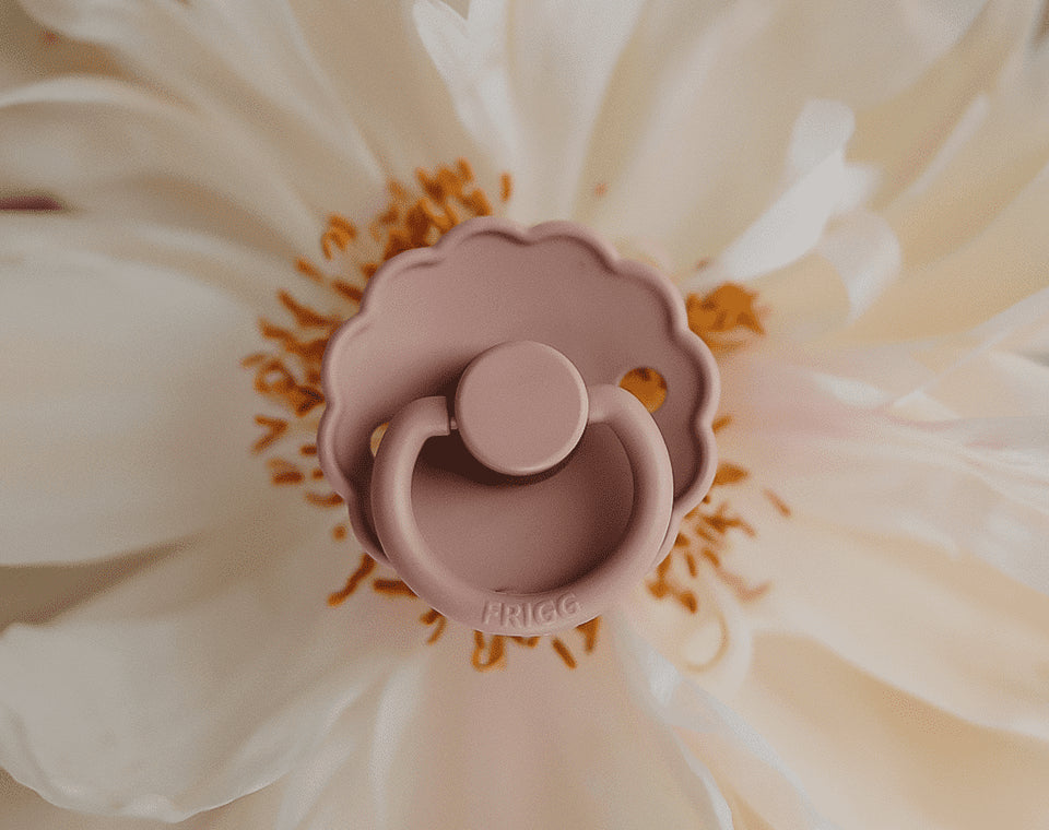 זוג מוצצים DAISY- Graphite/ Peach Bronze