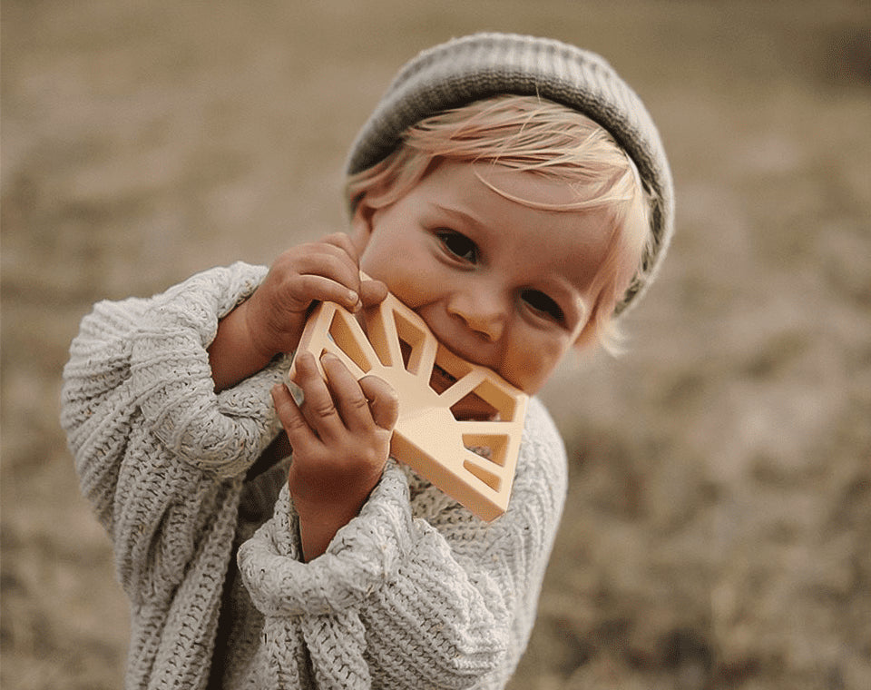נשכן שמש Clay