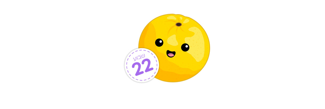 שבוע 22 – כמה התינוק שלי שוקל עכשיו?